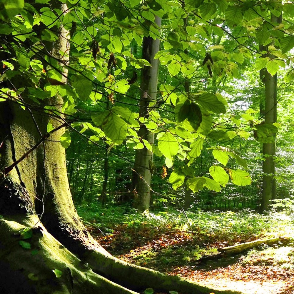 Meet your Posher, Leighash